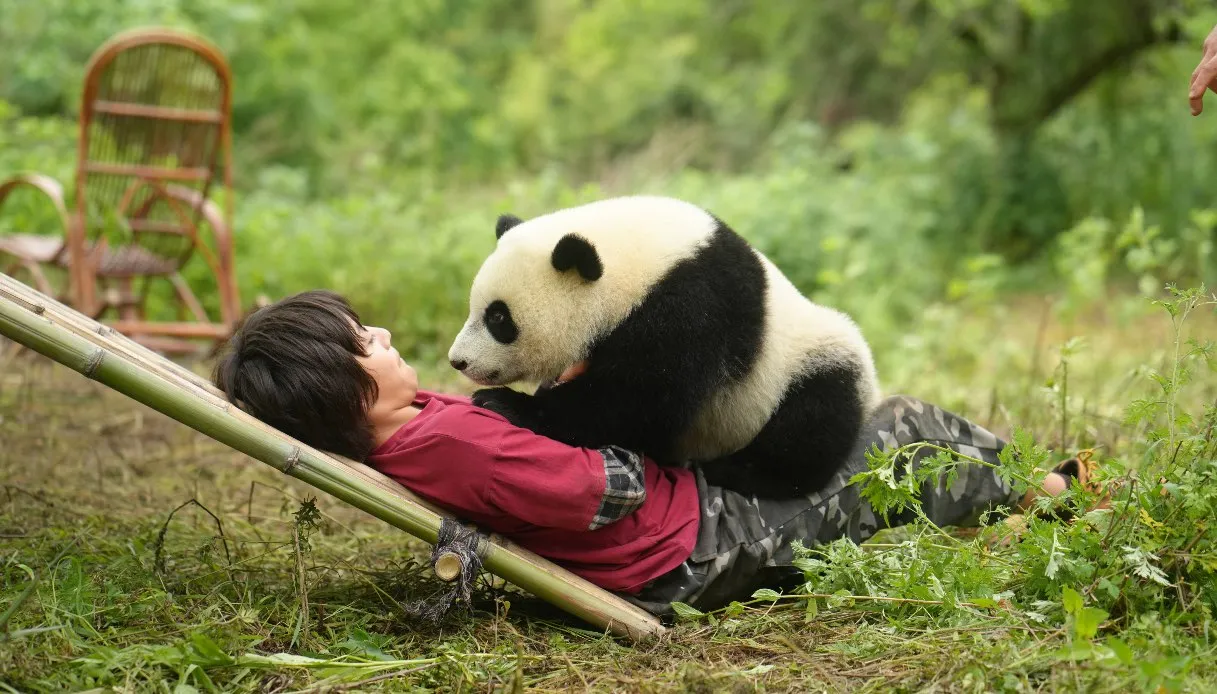 Moon – Il panda